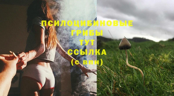 2c-b Волосово