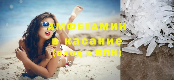 шишки Беломорск