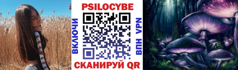Купить где Макарьев Галлюциногенные грибы Psilocybe
